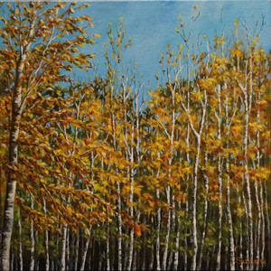 Beauty of Fall