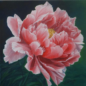 Romantic Love of Peony