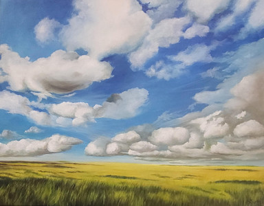 Cloudy Day in the Prairie