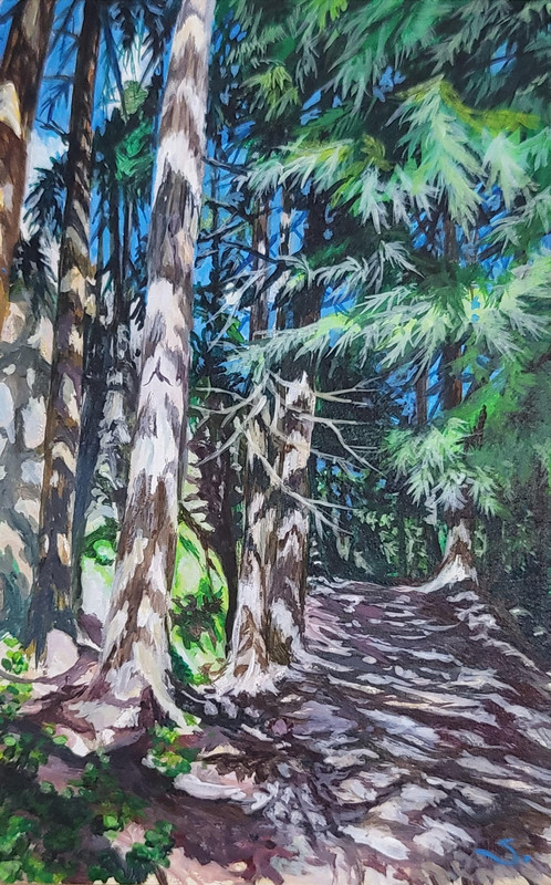 Summer Trail of Squamish