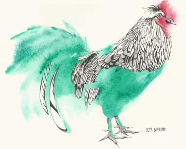 The Rooster