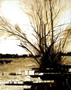 In a Willow Mood