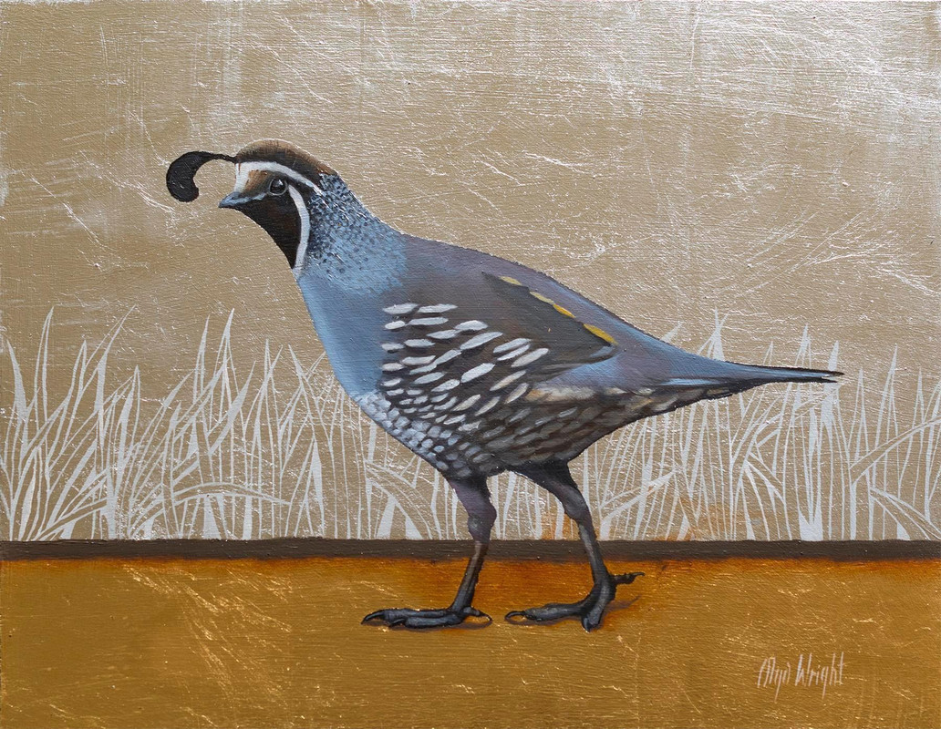 Valley Quail&rsquo;s Stroll 