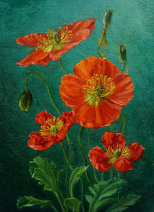 Orange Poppies