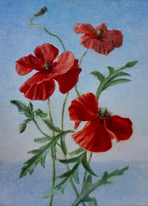 Poppies