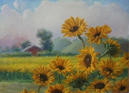 Sunflowers. Italian Sunset.