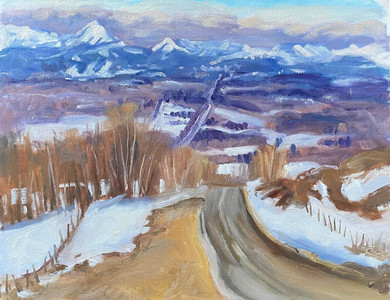 The colour of Winter Alberta