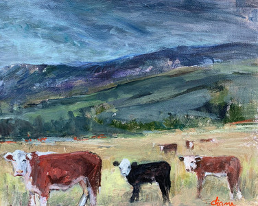 Cows In The Field