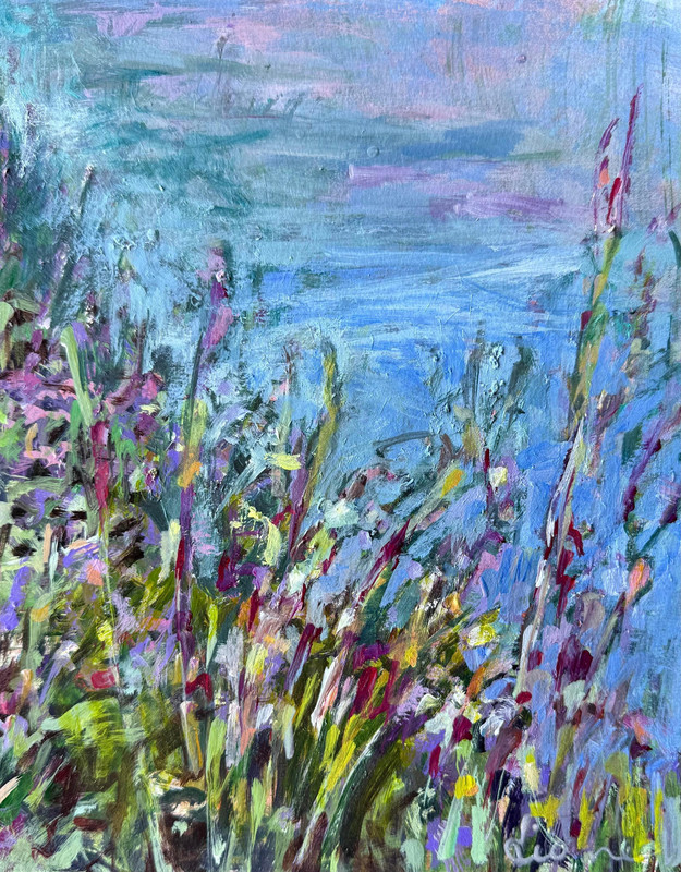 Dame&rsquo;s Rocket by McGuire Lake