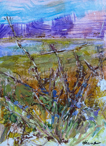 August At The Foreshore