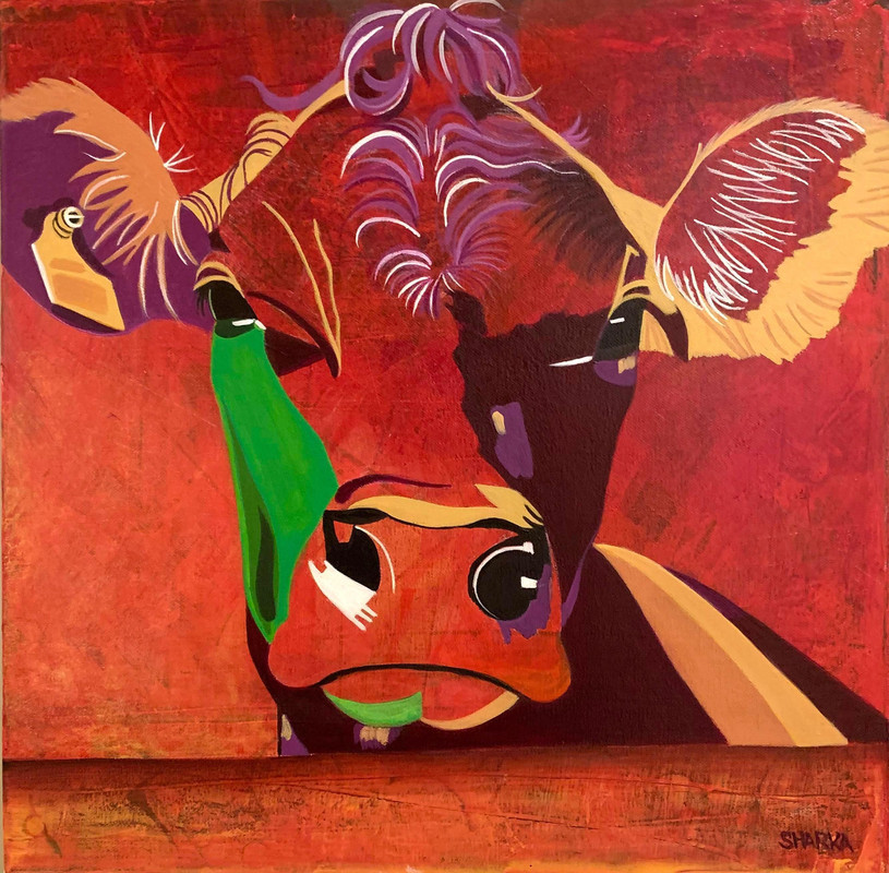 Cow, 2020