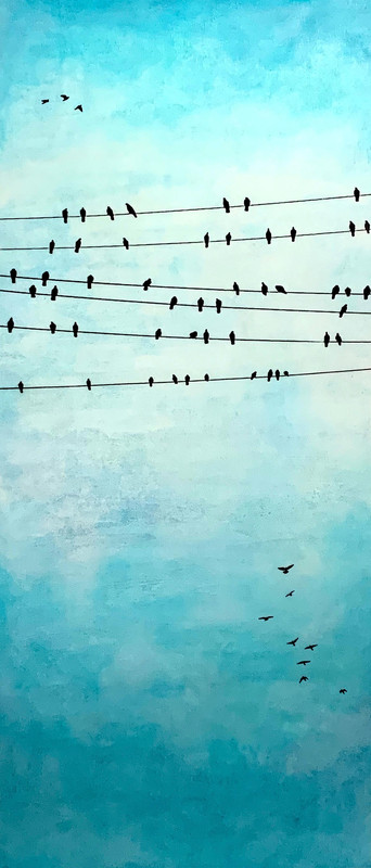 Live Wire