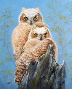 Great Horned Owlets