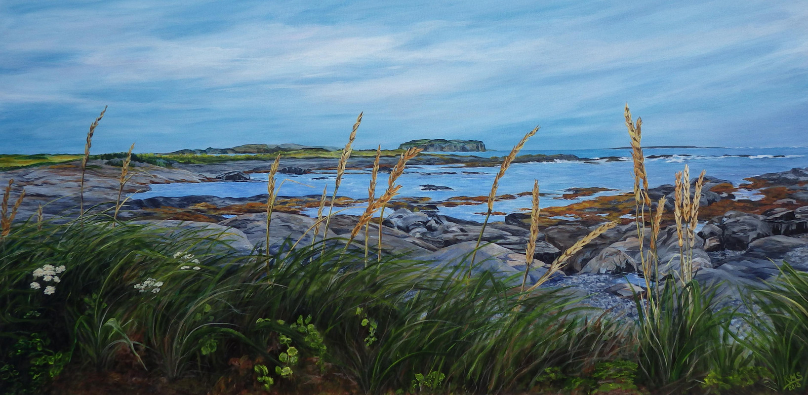 Viking View, L'Anse aux Meadows