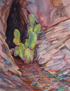 Slot Canyon Cactus