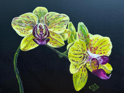 Mike’s Orchid No.1