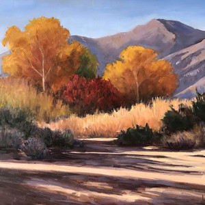 Late Afternoon Shadows