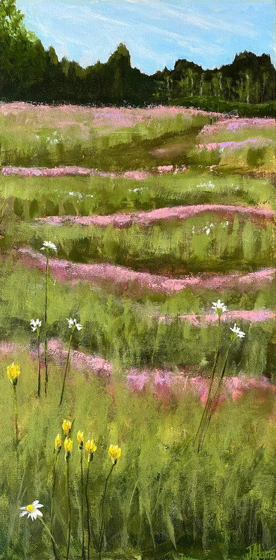 A Daisy A Day