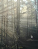 View #1