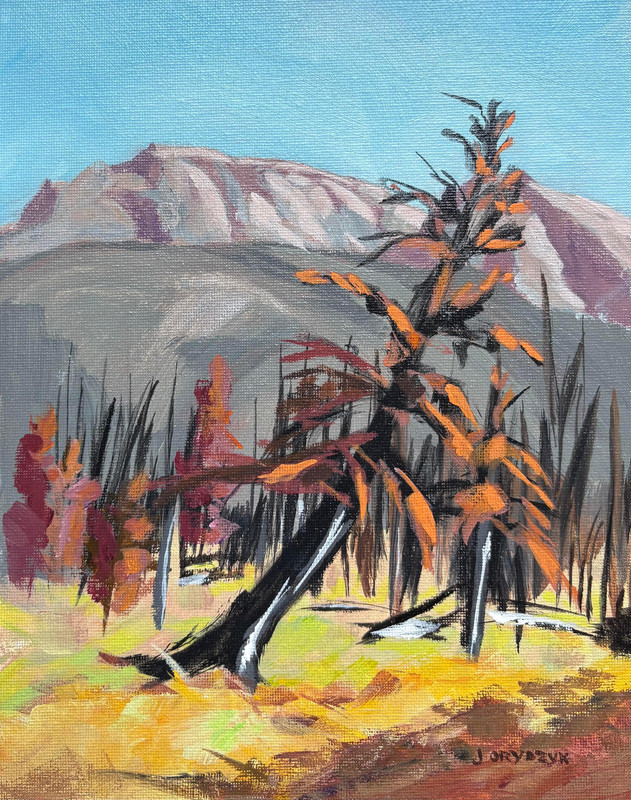 Resilience-Jasper,Alberta