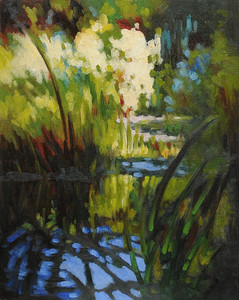 Lily Pond