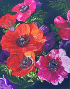 Anemones