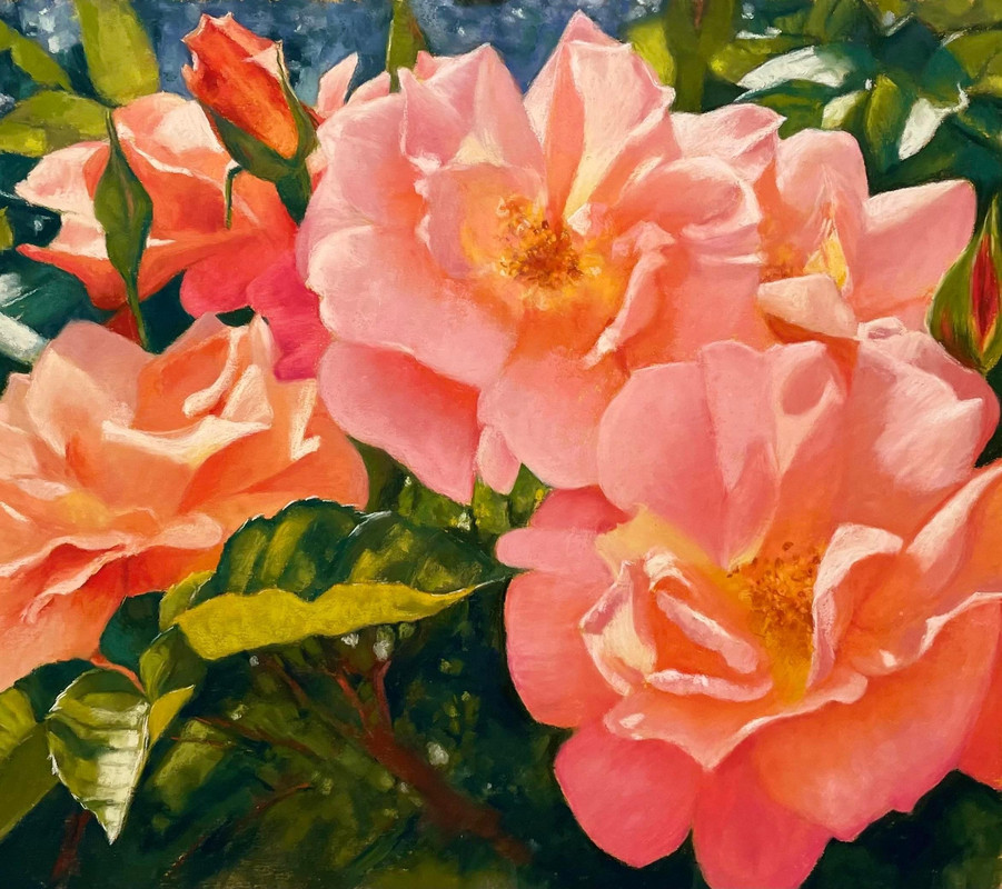 Climbing Rose