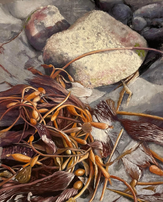 Tofino Tangles
