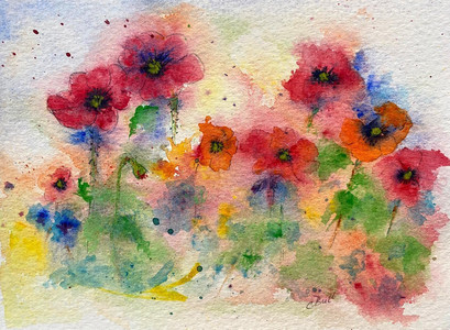 Poppies in Meadow