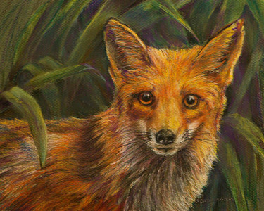 Fox In My Daylilies