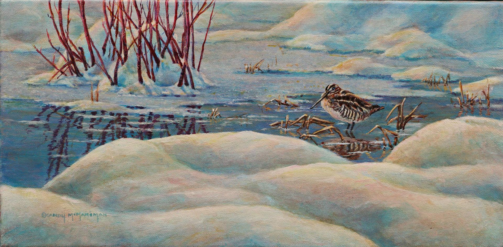Spring Snow-Snipe