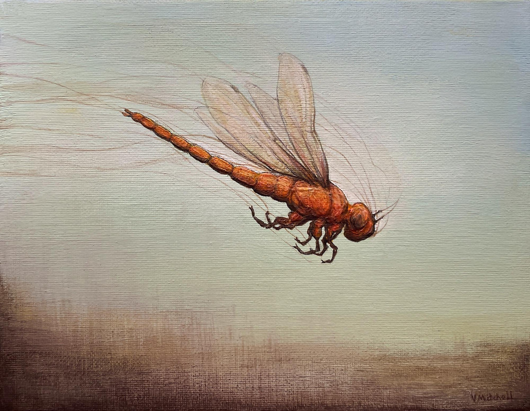 Amber Gale