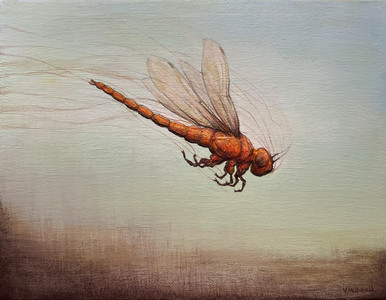 Amber Gale