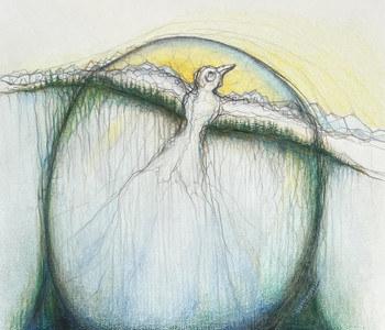 Soar