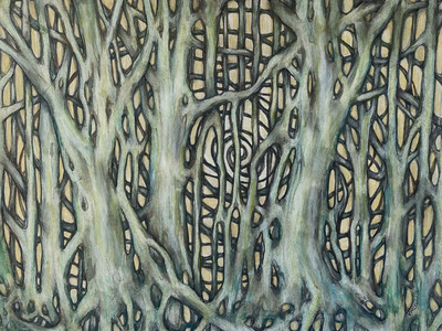 Mangrove Matrix