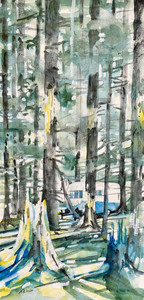 Camping Near Lake Cowichan, BC