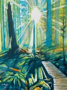 John Thompson Trail
