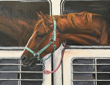 Horse and Trailer