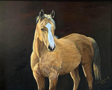 Palomino