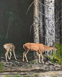Whitetail Deer in Dark Forest