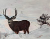 View #1