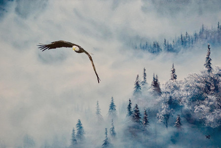 Freedom