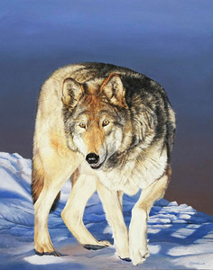 "The Sentry" - Timber Wolf