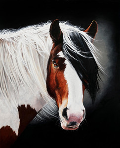 Fabian (Gypsy Vanner Horse)
