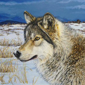 Prairie Watch - Timber Wolf