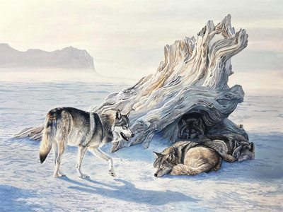 A Temporary Refuge - near Nunavut on the Arctic Tundra