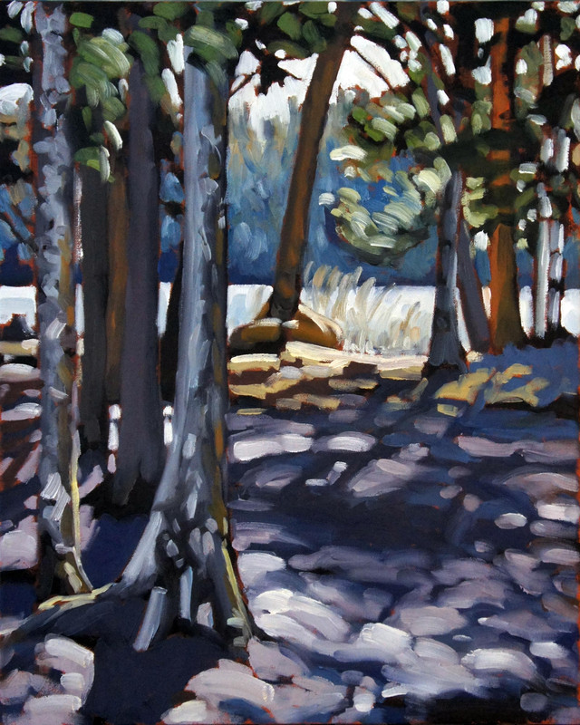 Dappled Light