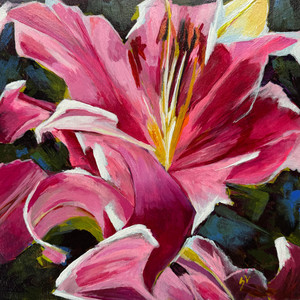 Star Gazer II