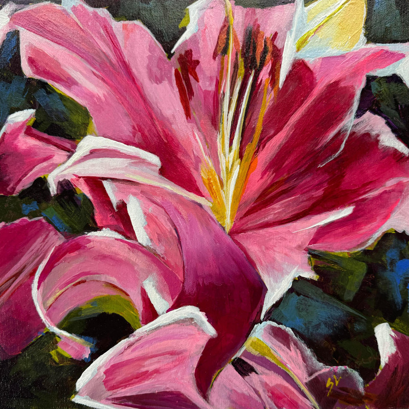 Star Gazer II