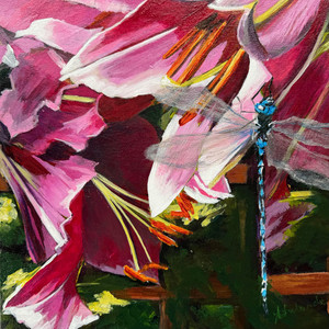 Fuschia Frenzy